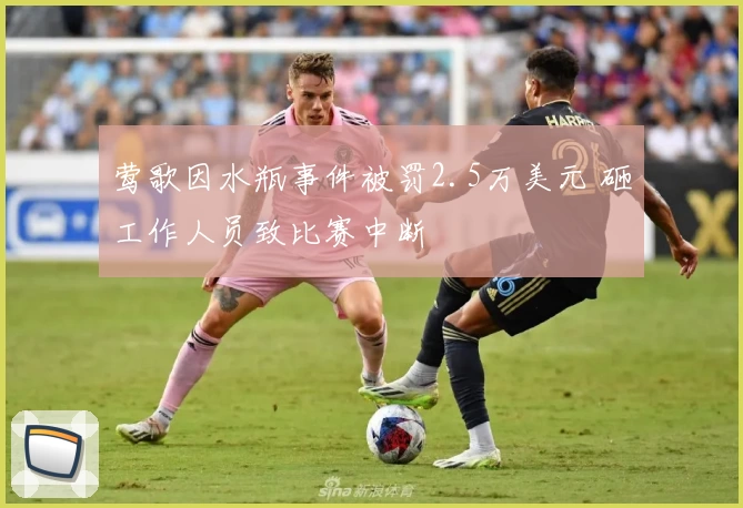 莺歌因水瓶事件被罚2.5万美元 砸工作人员致比赛中断