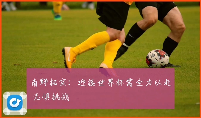 南野拓实：迎接世界杯需全力以赴 无惧挑战