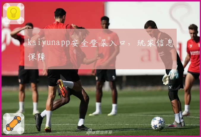 kaiyunapp安全登录入口，玩家信息保障