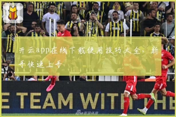开云app在线下载使用技巧大全，新手快速上手