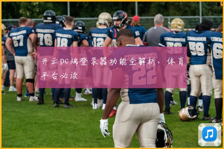 开云pc端登录器功能全解析，体育平台必读