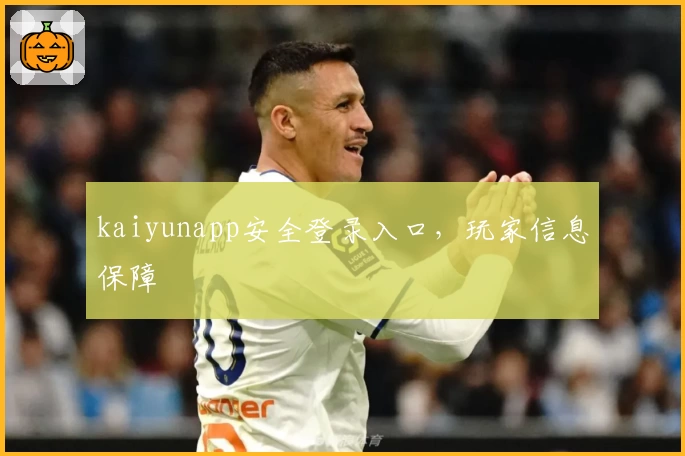 kaiyunapp安全登录入口，玩家信息保障
