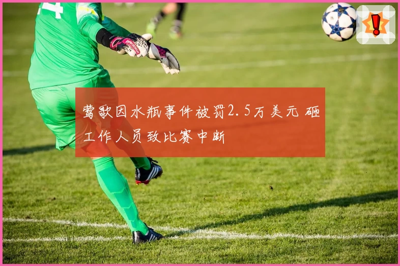 莺歌因水瓶事件被罚2.5万美元 砸工作人员致比赛中断