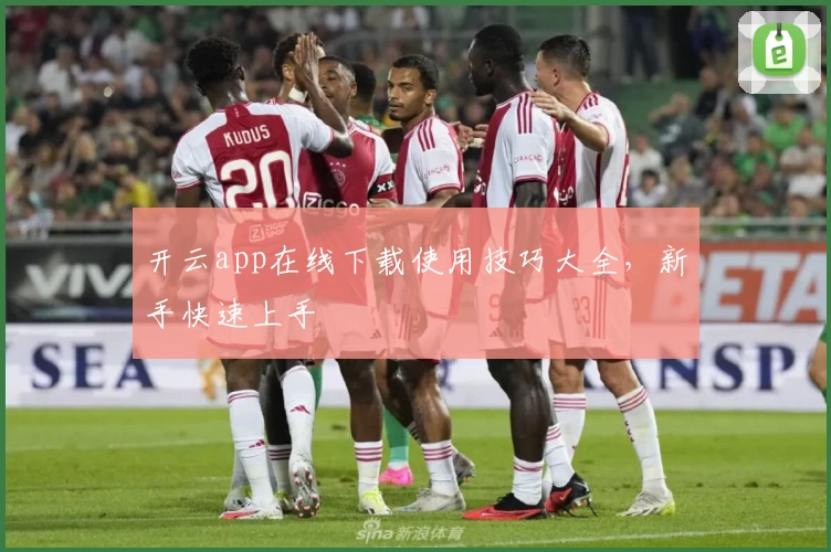 开云app在线下载使用技巧大全，新手快速上手